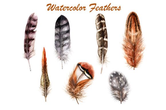Download Hand Drawn Feathers - Hand drawn feathers Collection